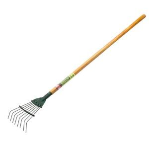Junior springbok rake