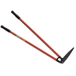 Long handled edging shears
